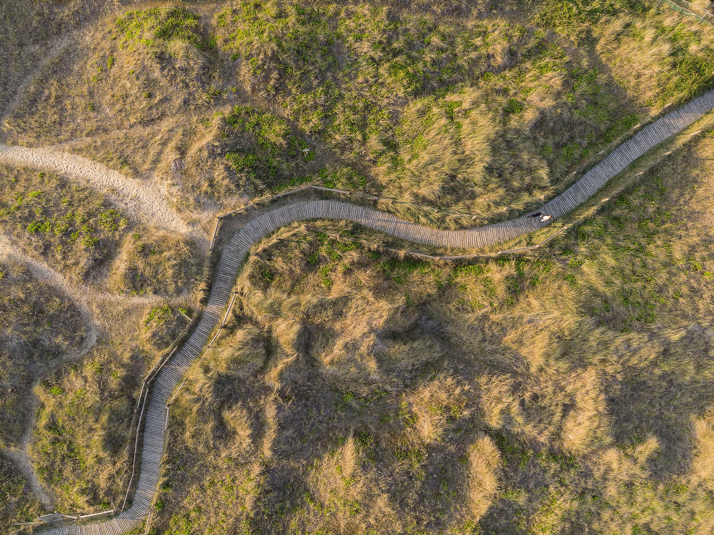 Aerial view of a boardwalk winding through coastal dunes